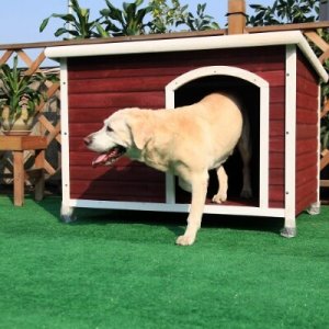 Petsfit Dog House